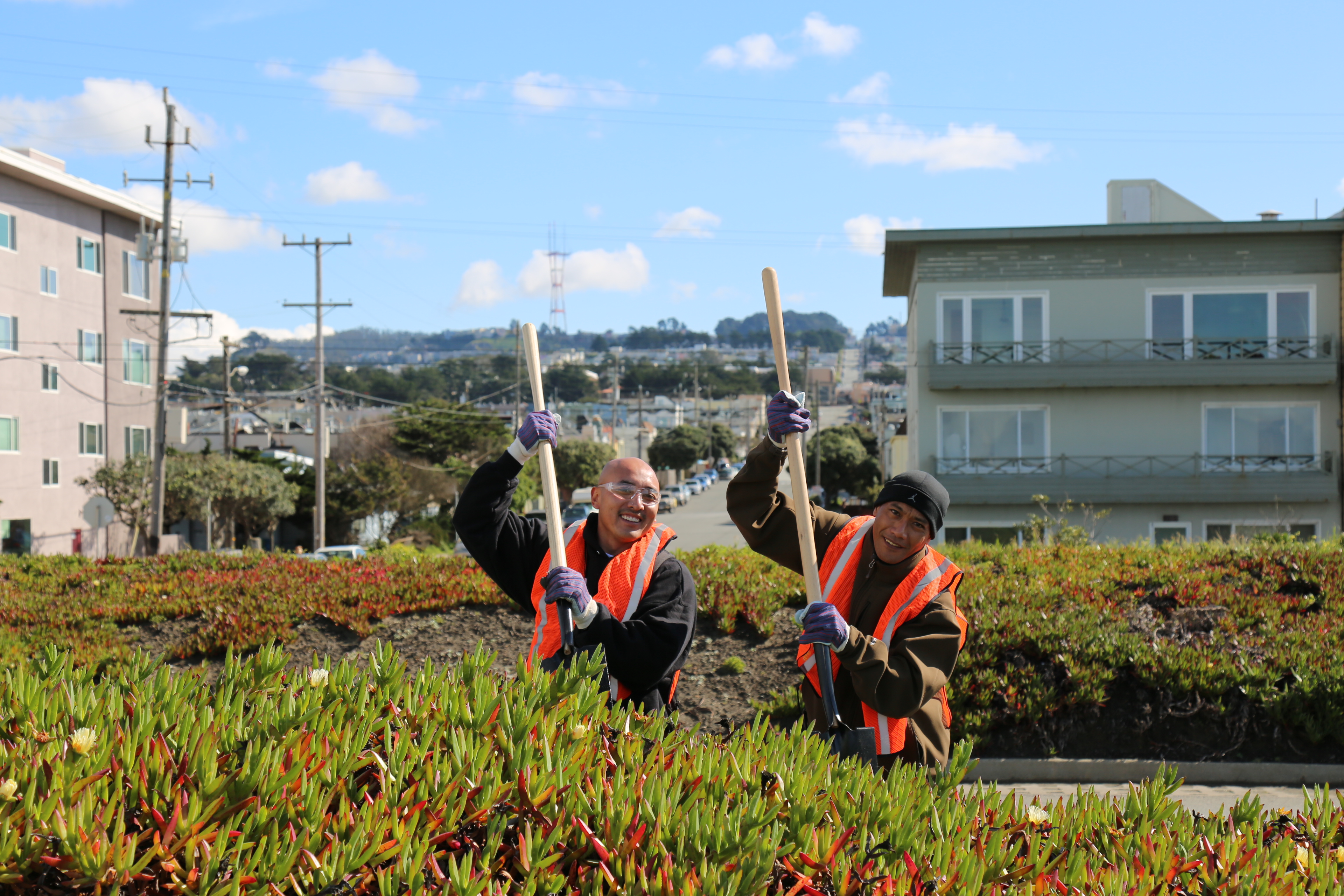 Volunteers landscaping along the Great Highway