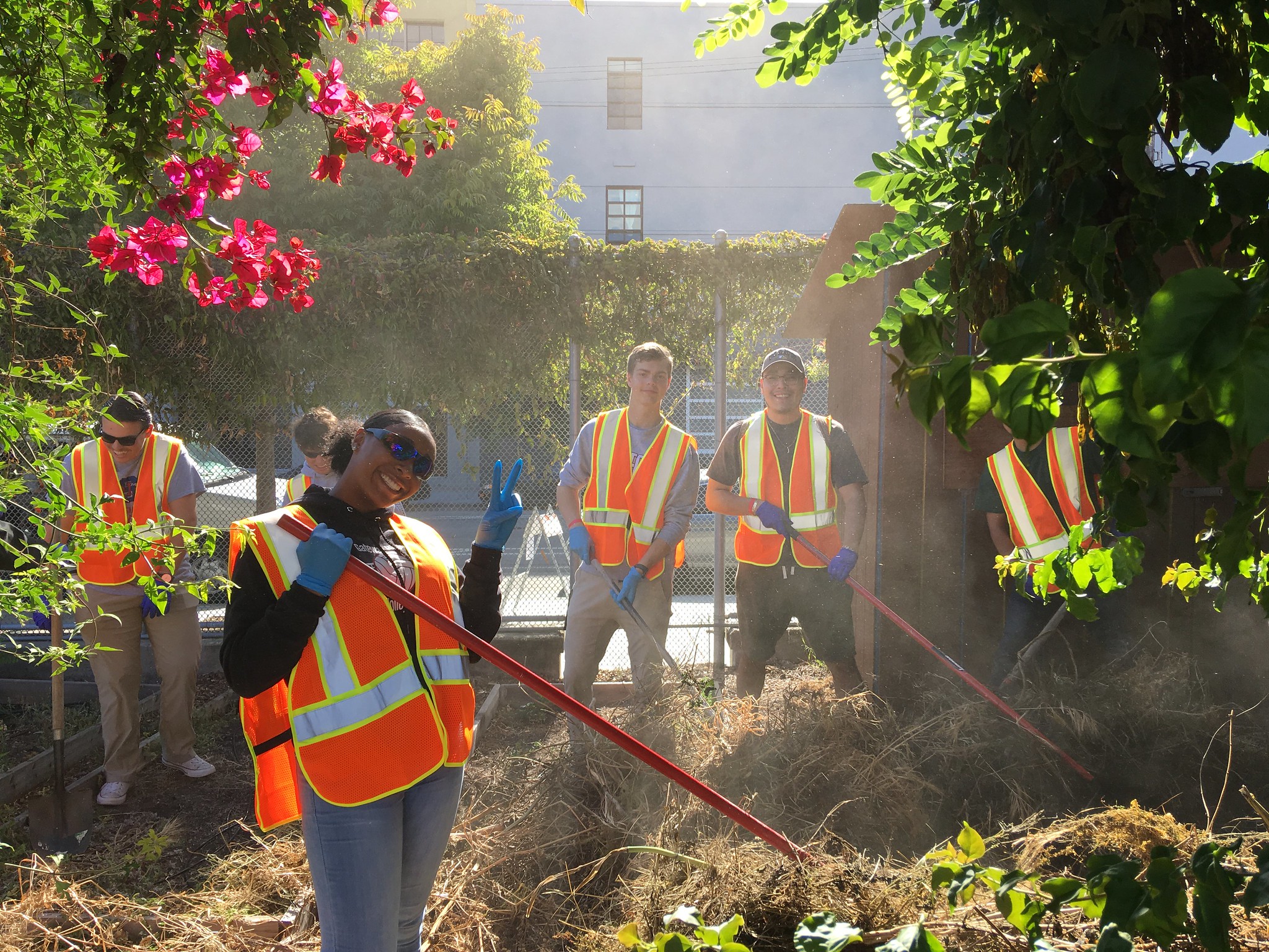 volunteers at work