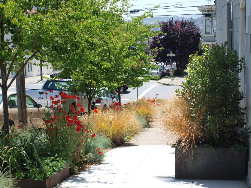 sidewalk landscaping
