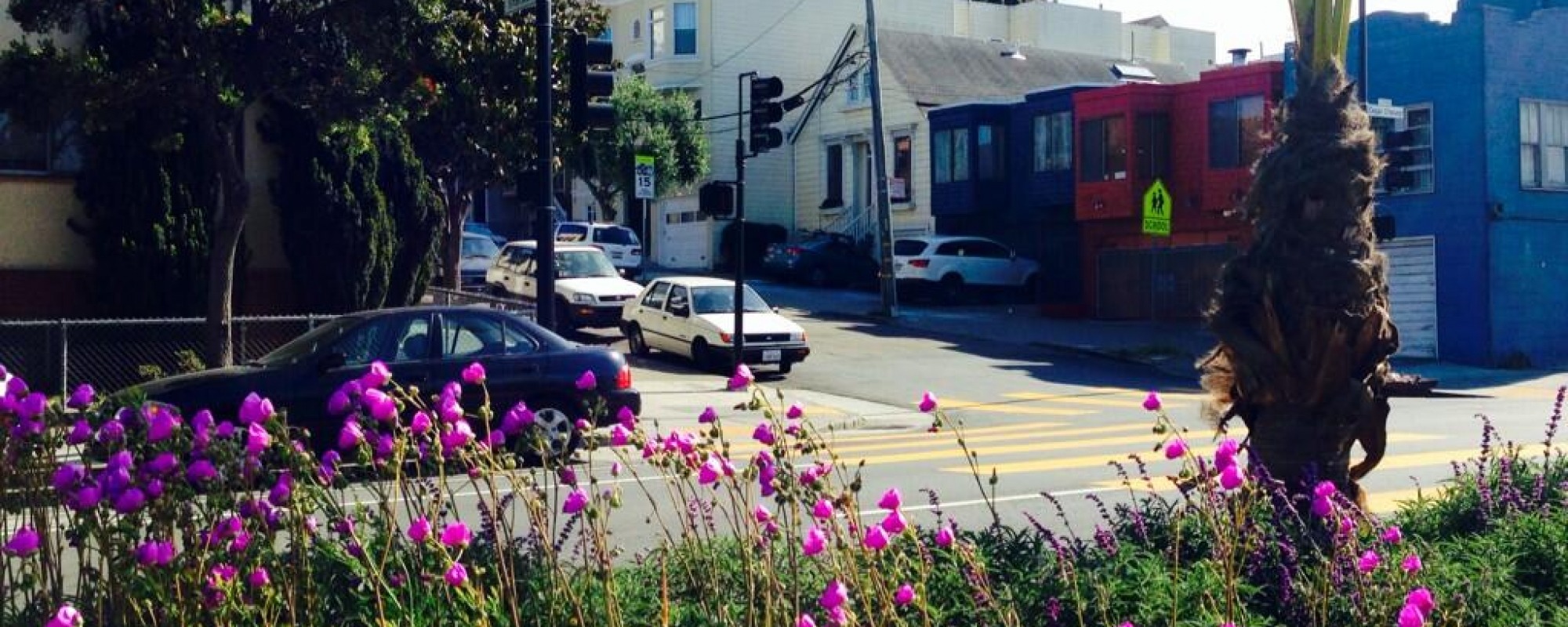 Cesar Chavez Streetscape Project median