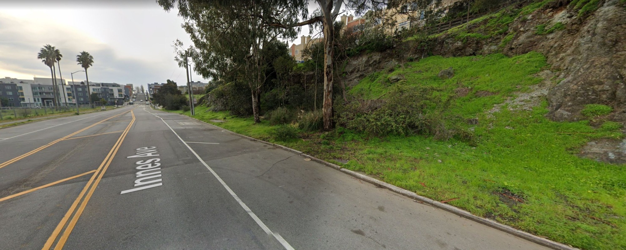 Street level view of Innes Avenue