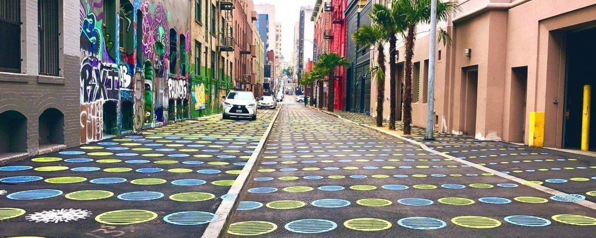 Fern Alley